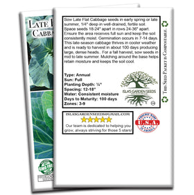 Isla's Garden Seeds Late Flat Dutch cabbage storage jar, seeds durable for seed safes and long-term storage.
