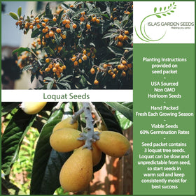 Isla's Garden Seeds loquat blossoms and fragrant fruit add spring color.