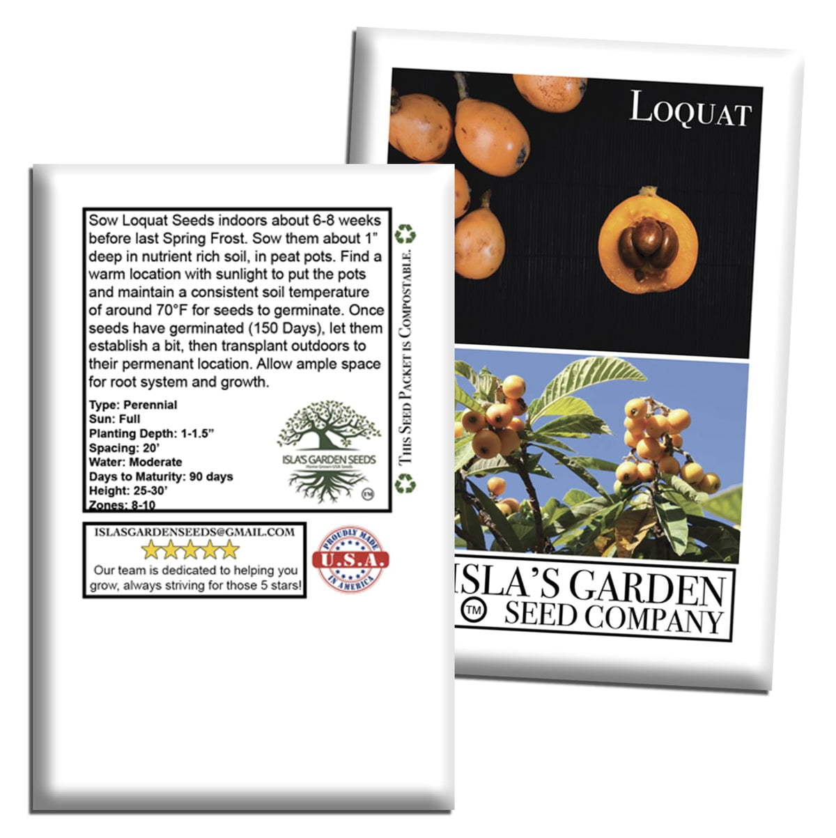 Isla's Garden Seeds recommends moderate watering for established loquat trees.