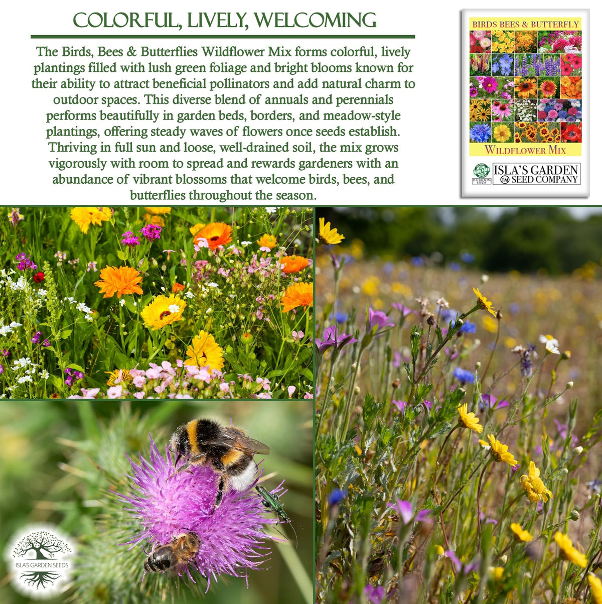 Isla's Garden Seeds meadow-ready wildflowers; adds seasonal color across the yard.