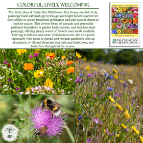 Isla's Garden Seeds meadow-ready wildflowers; adds seasonal color across the yard.