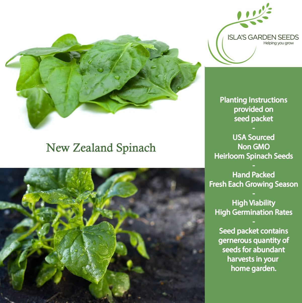 Isla's Garden Seeds New Zealand Spinach leaves close-up showing tender greens