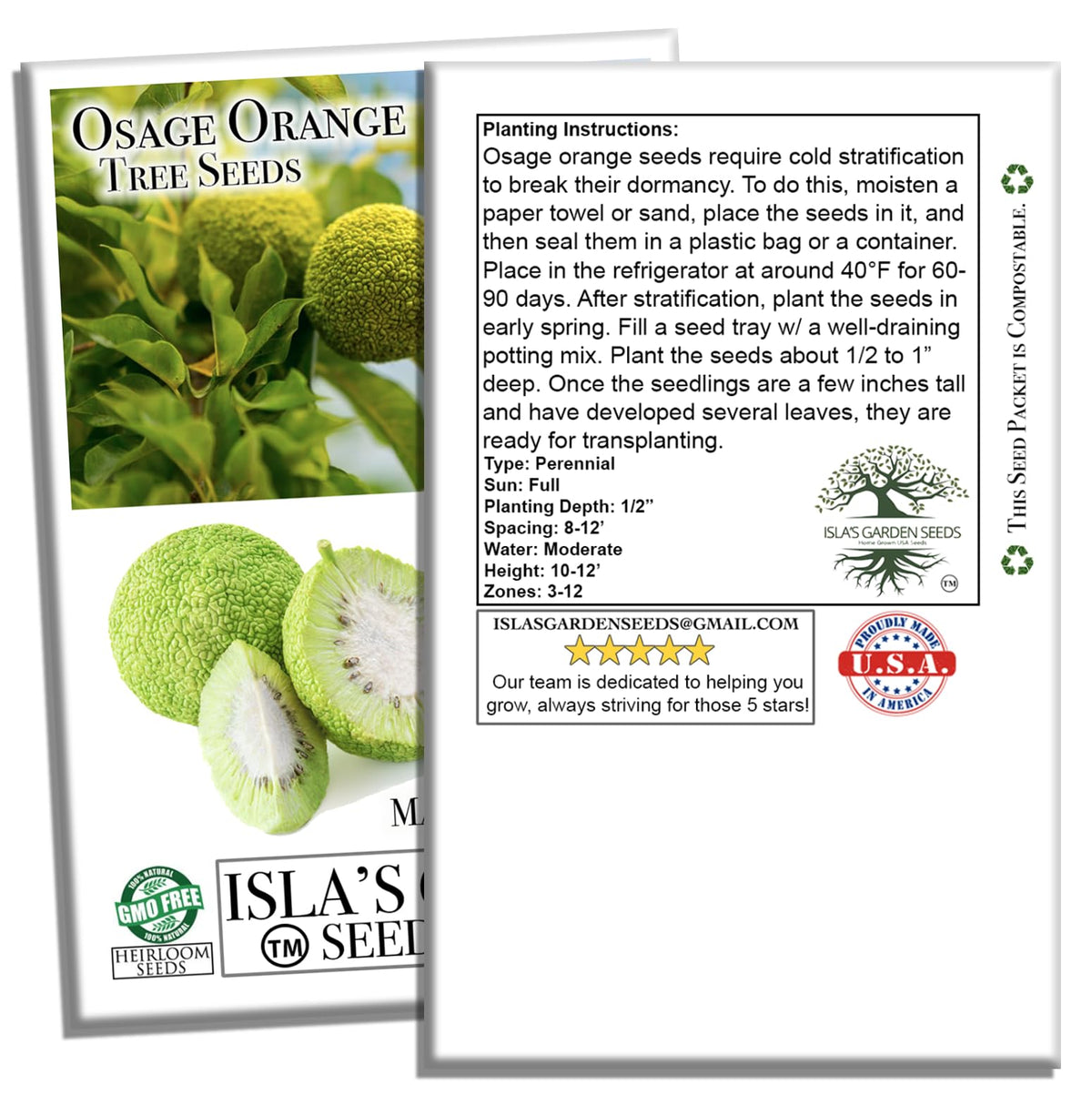 Ornamental hedge concept using Osage Orange seeds from Isla's Garden Seeds