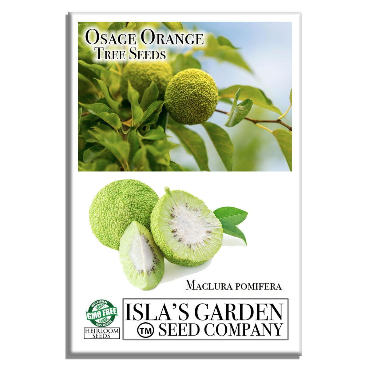 Isla's Garden Seeds Osage Orange seeds pack — premium heirloom quality for home gardens