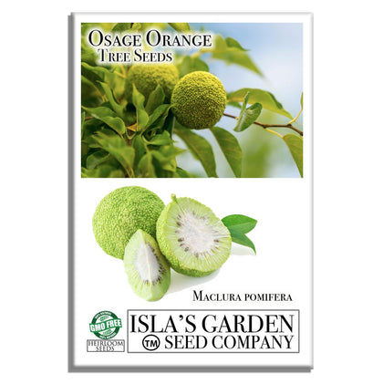 Isla's Garden Seeds Osage Orange seeds pack — premium heirloom quality for home gardens