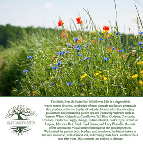 Isla's Garden Seeds pack-500-plus-seeds; economical option for large patches.