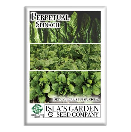 Isla's Garden Seeds Perpetual Spinach seeds packet front, ready for a continuous harvest.