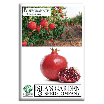 Isla's Garden Seeds pomegranate bloom adds vibrant color to sunny garden beds.