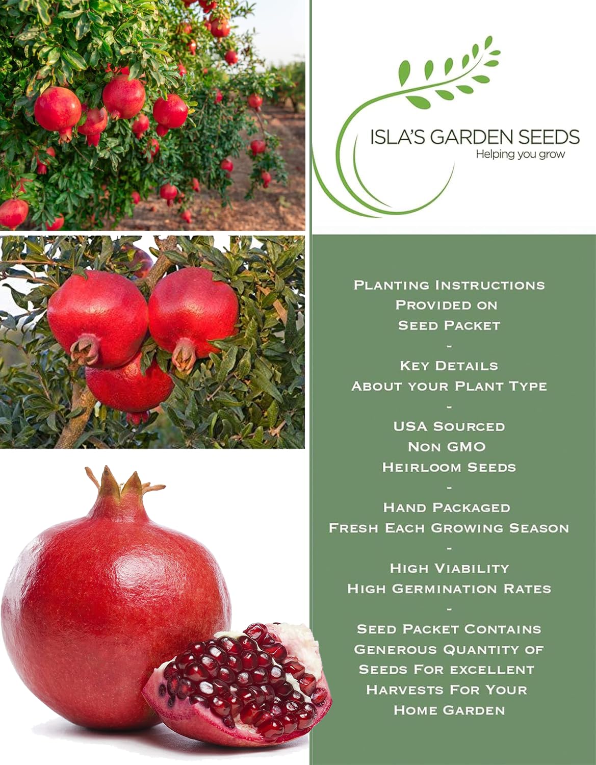 Isla's Garden Seeds pomegranate fruit on the tree signals a tasty harvest ahead.