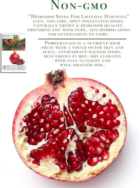 Isla's Garden Seeds pomegranate leaves provide lush greenery and garden interest.