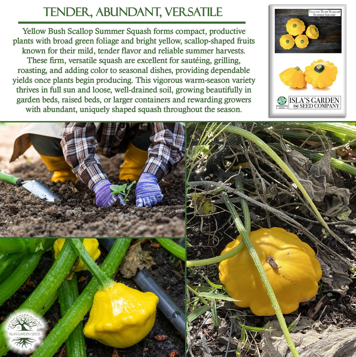 Isla's Garden Seeds seed packet features non-GMO heirloom seeds for warm-season harvests