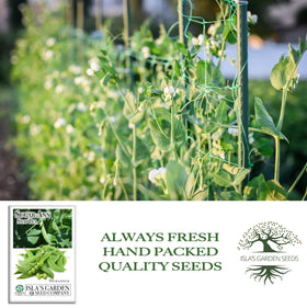 Isla's Garden Seeds Sugar Ann Snap Pea thriving in containers for patios.