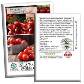 Isla's Garden Seeds Sweetie Cherry Tomato in containers, ideal for patio gardens.
