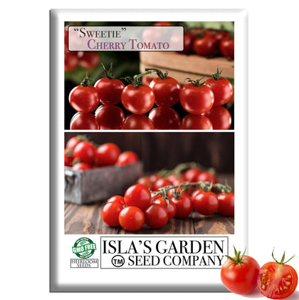 Isla's Garden Seeds Sweetie Cherry Tomato on the vine, perfect for fresh snacking.