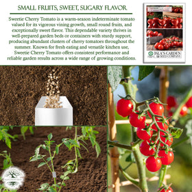 Isla's Garden Seeds Sweetie Cherry Tomato in a fresh salad bowl for bright flavor.