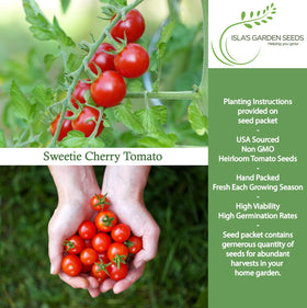 Isla's Garden Seeds Sweetie Cherry Tomato thriving in full sun for juicy harvests.