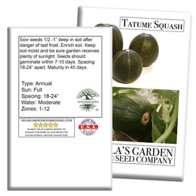 Isla's Garden Seeds Tatume heirloom open-pollinated calabacita variety