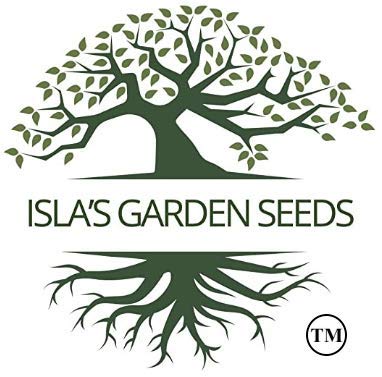 Isla's Garden Seeds Wando pea garden setup in sunny bed
