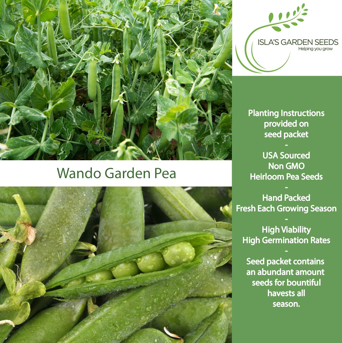 Isla's Garden Seeds Wando pea pod close-up highlighting sweet, tender shelling peas