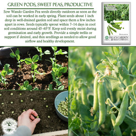 Isla's Garden Seeds Wando pea soil and temperature needs in early spring