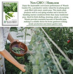 Isla's Garden Seeds Wando pea vine with trellis support for steady growth