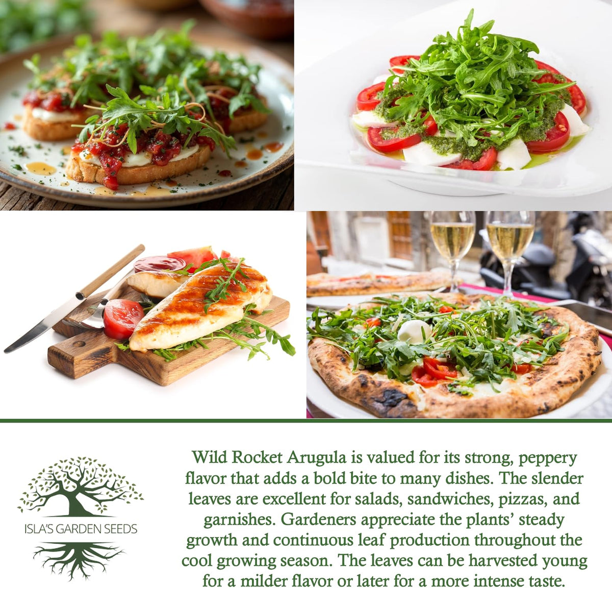 Isla's Garden Seeds Wild Rocket Arugula thriving in full sun growth