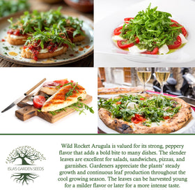 Isla's Garden Seeds Wild Rocket Arugula thriving in full sun growth
