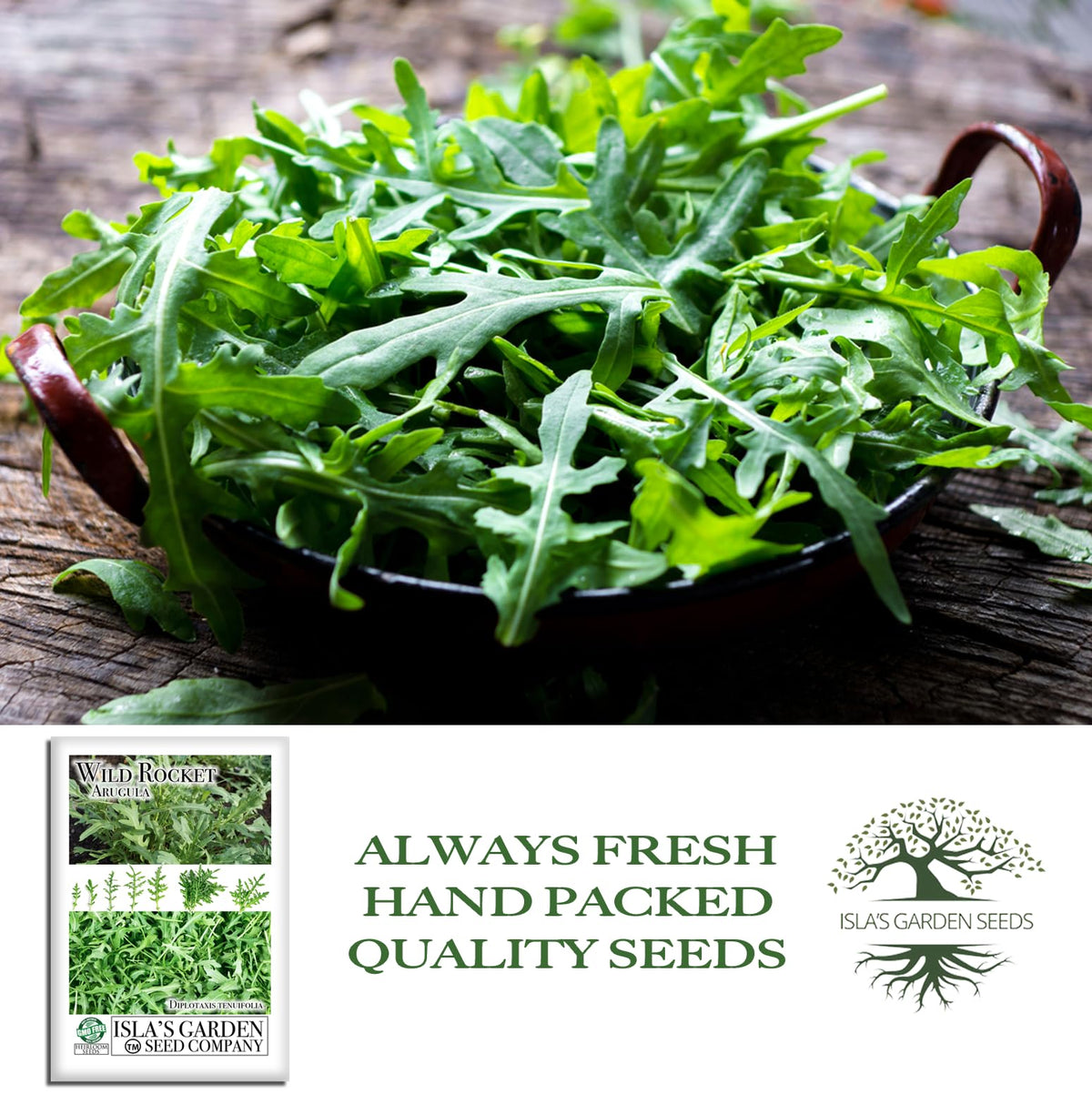 Isla's Garden Seeds Wild Rocket Arugula harvest-ready greens for fresh meals