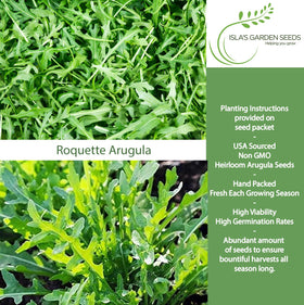 Isla's Garden Seeds Wild Rocket Arugula seeded bed illustrating continuous harvests
