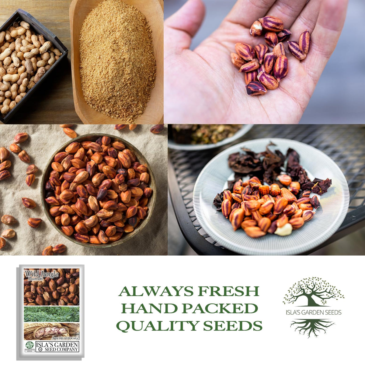 Peanuts develop underground via pegging, encouraging loose soil around the base.