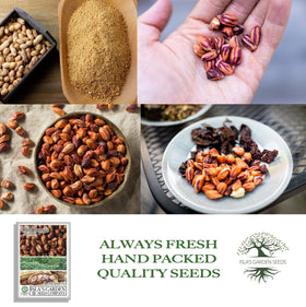 Peanuts develop underground via pegging, encouraging loose soil around the base.