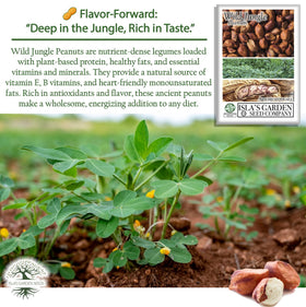 Thrives in full sun with well-drained soil for steady pod formation.
