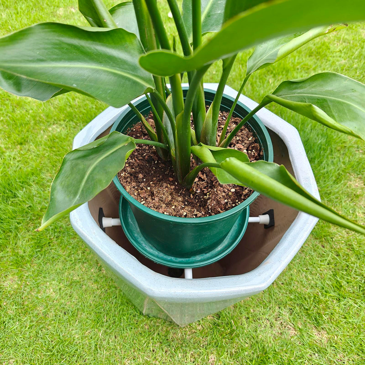 ISYOKE planter insert with foam pads stabilizes potted plants for safe indoor placement.