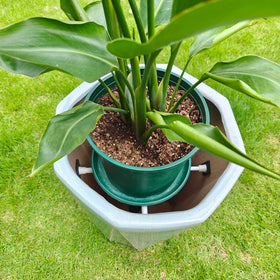 ISYOKE planter insert with foam pads stabilizes potted plants for safe indoor placement.