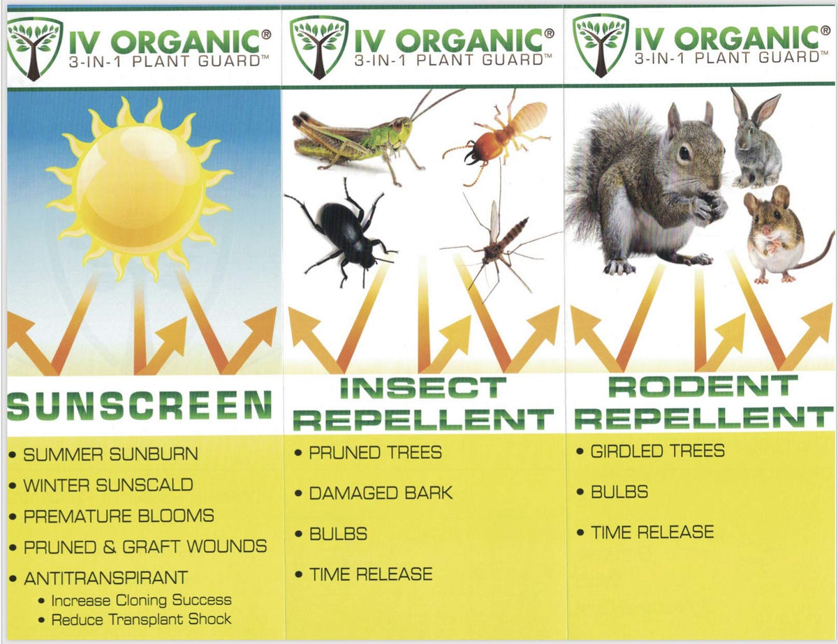 IV Organic 3-in-1 Plant Guard brown color on a tree for sun and pest protection