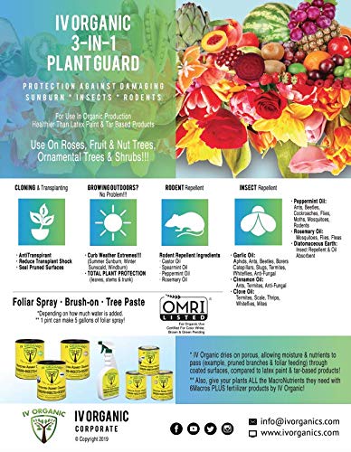 IV Organic 3-in-1 Plant Guard applied to roses for seasonal care