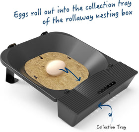 IVAHOU coconut fiber nesting pads inside each box for clean nests