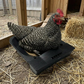 IVAHOU coconut fiber nesting pads provide a soft, clean laying surface