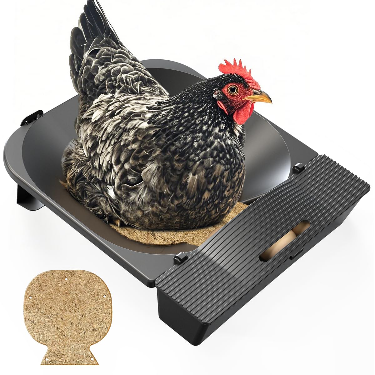 IVAHOU roll-away nesting box assembly in coop for clean eggs