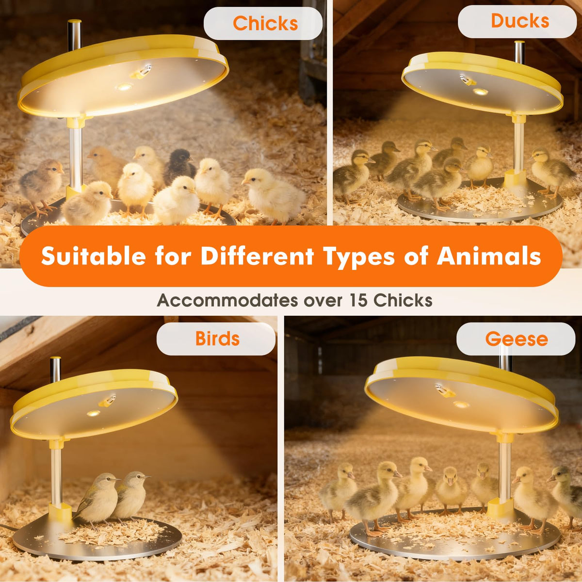 IVJ plate enables night checks without disturbing chicks.