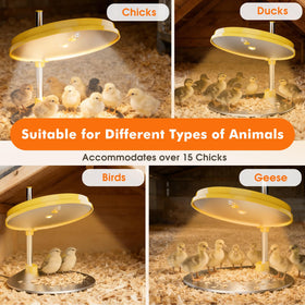 IVJ plate enables night checks without disturbing chicks.