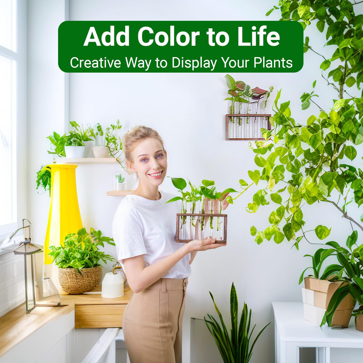IVOLADOR I desktop stand propagation station with removable vases