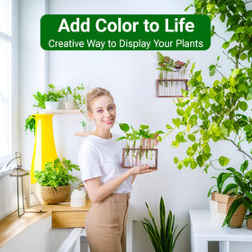 IVOLADOR I desktop stand propagation station with removable vases