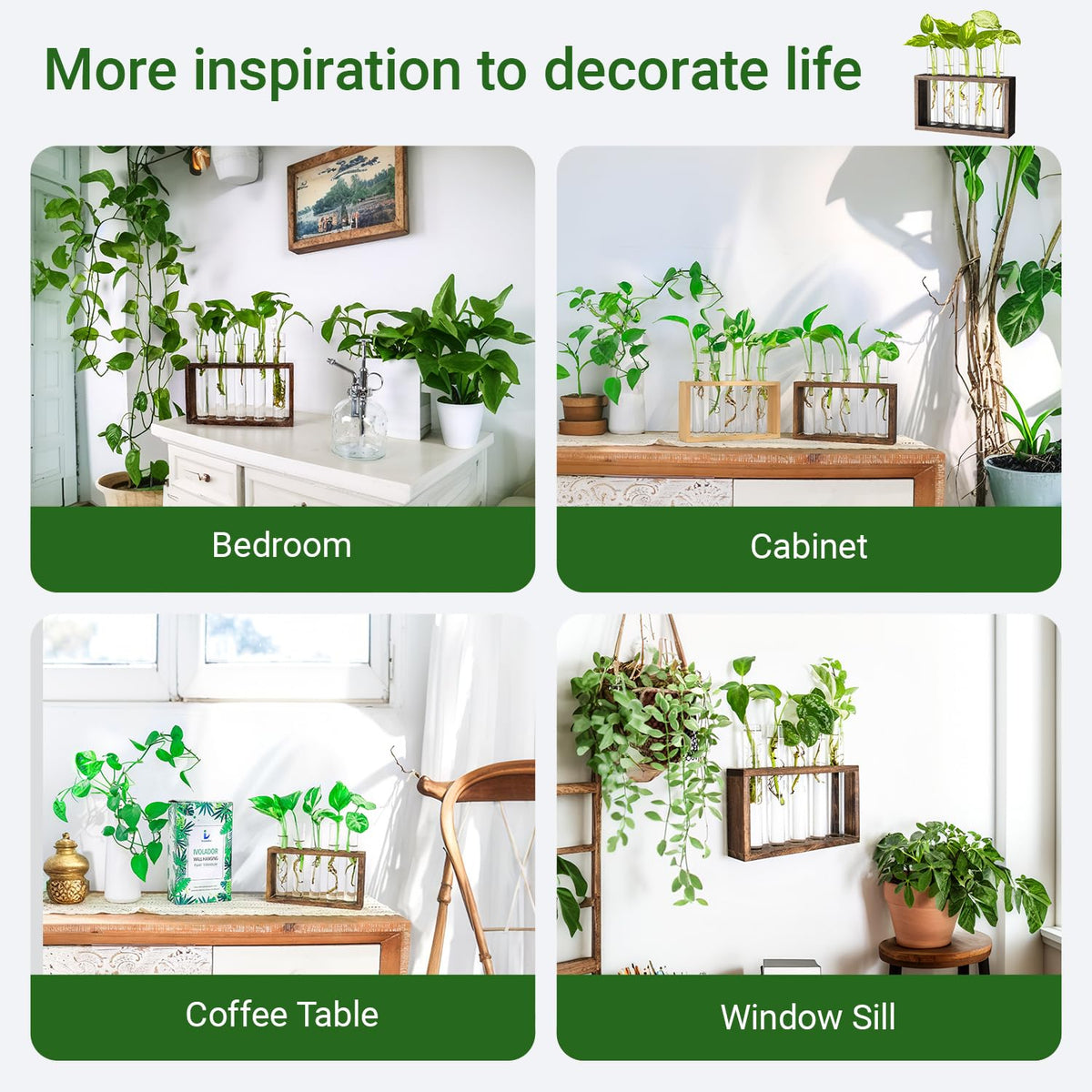 IVOLADOR I five-tube vase suitable for herbs and indoor greens