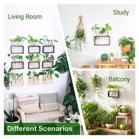 IVOLADOR I premium glass and wood construction enhances home décor