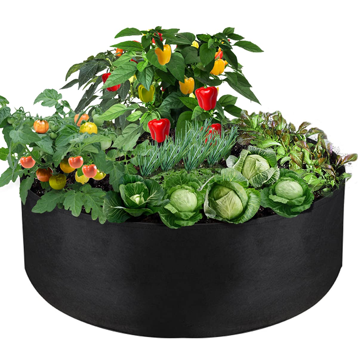 IWNTWY 100 Gallon grow bag full view on patio highlighting large capacity