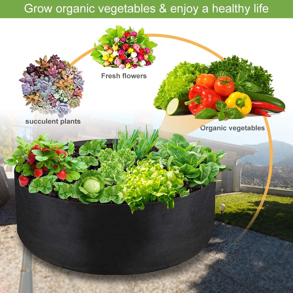 IWNTWY grow bag used for vegetables with raised-bed feel on patio