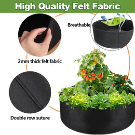 IWNTWY indoor garden on window sill using grow bag.