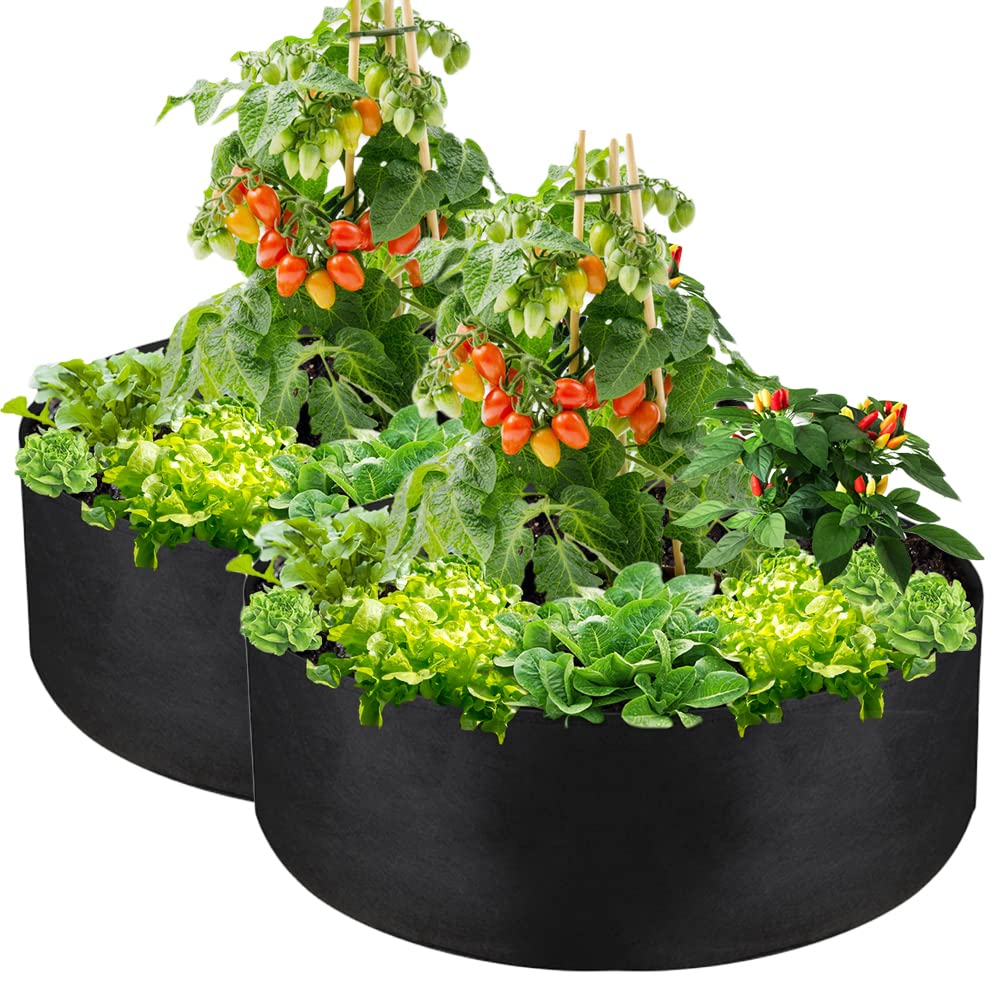IWNTWY two-pack grow bag unfolded on patio for easy setup.