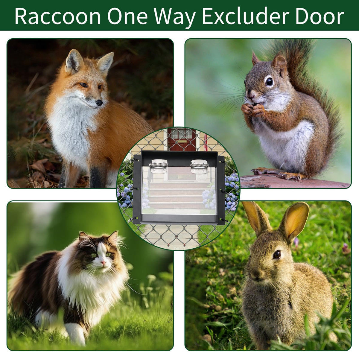 iwreaiy humane wildlife management - safe exit guidance reduces repeated intrusions.